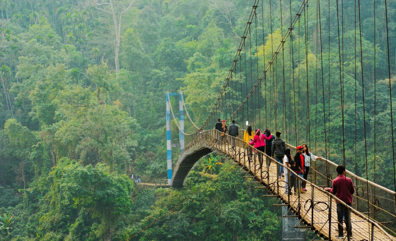 Walkers crossing a living root bridge over a forest stream in Meghalaya